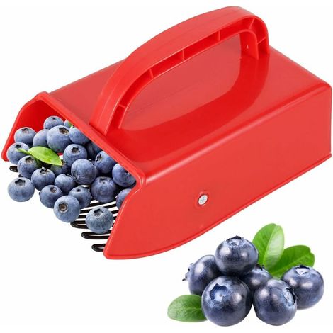 Heidelbeer-kamm Beerensammler Mit Metallkamm Frucht-sammler Für Johannisbeeren, Schwarze Johannisbeeren, Sammler