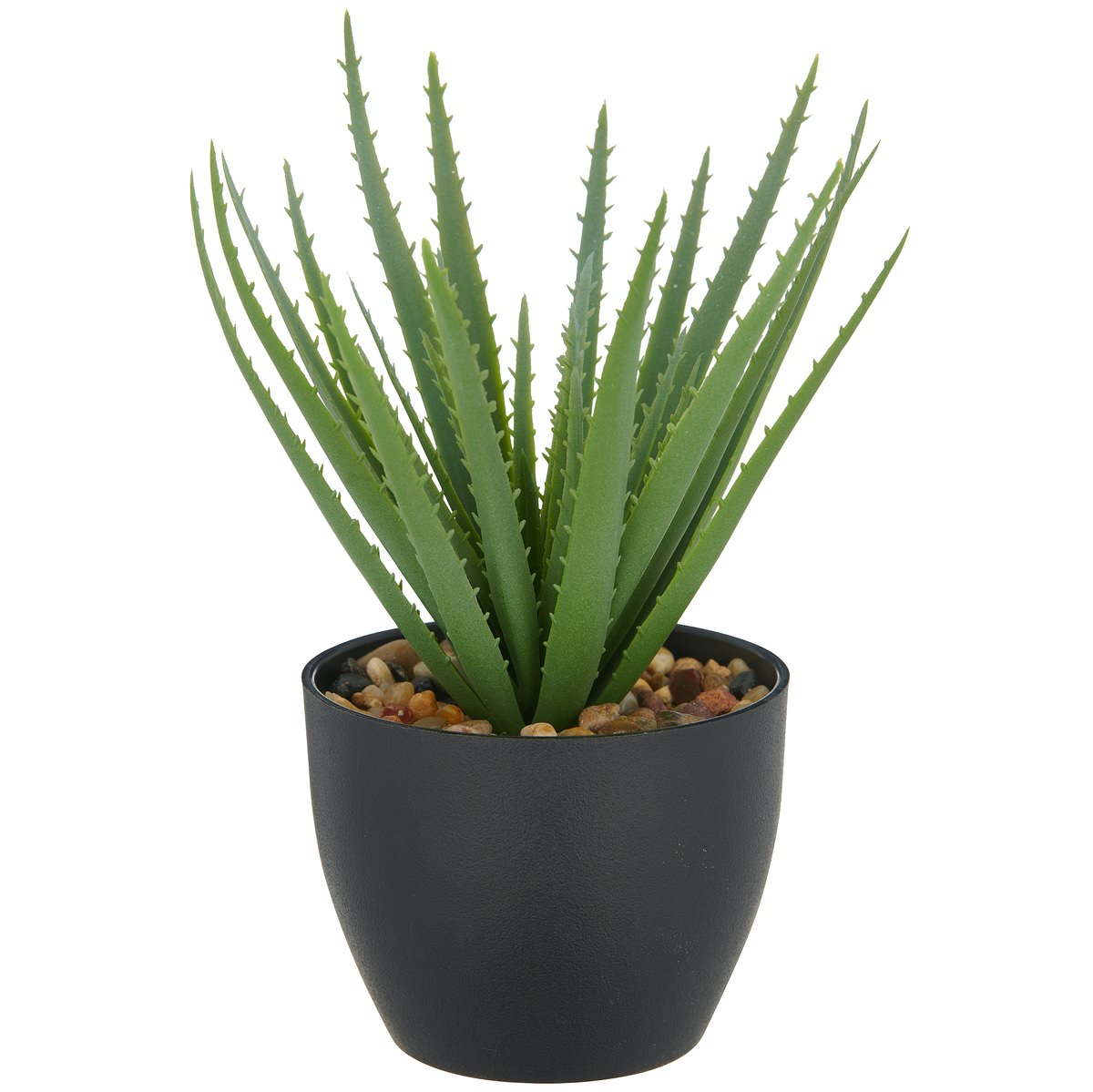 Gasper Aloe Vera Im Kunststofftopf Mit Kies 20 Cm, Grün, 11 X 9 Cm