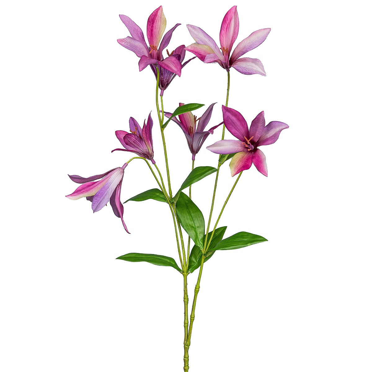 Gasper Clematis Mit Sternblüten In Rosa & Blauen Tönen 84 Cm - Kunstpflanzen