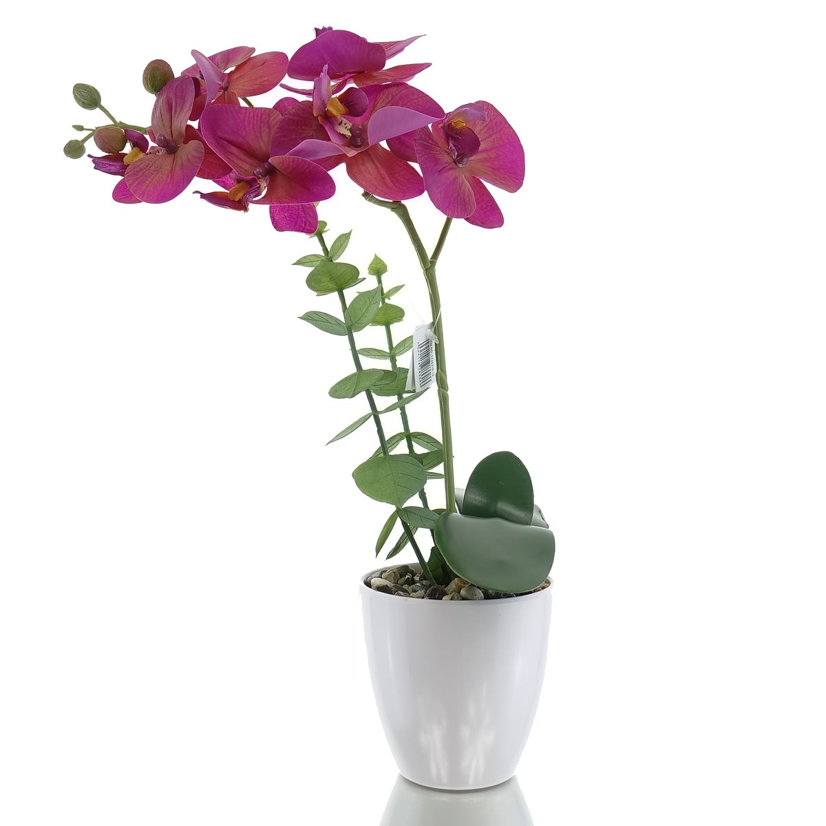 Gasper Phalaenopsis X6, 40cm, Pink-beige, Im Weißen Melamintopf 9x9cm, Real Touch