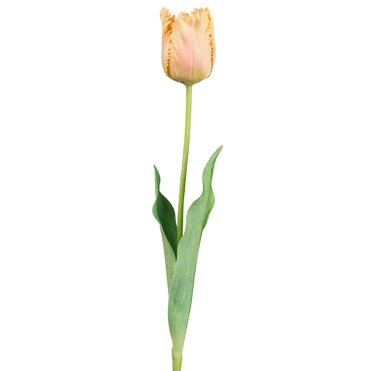 Gasper Tulpe, Apricot, 67 Cm - Kunstblume