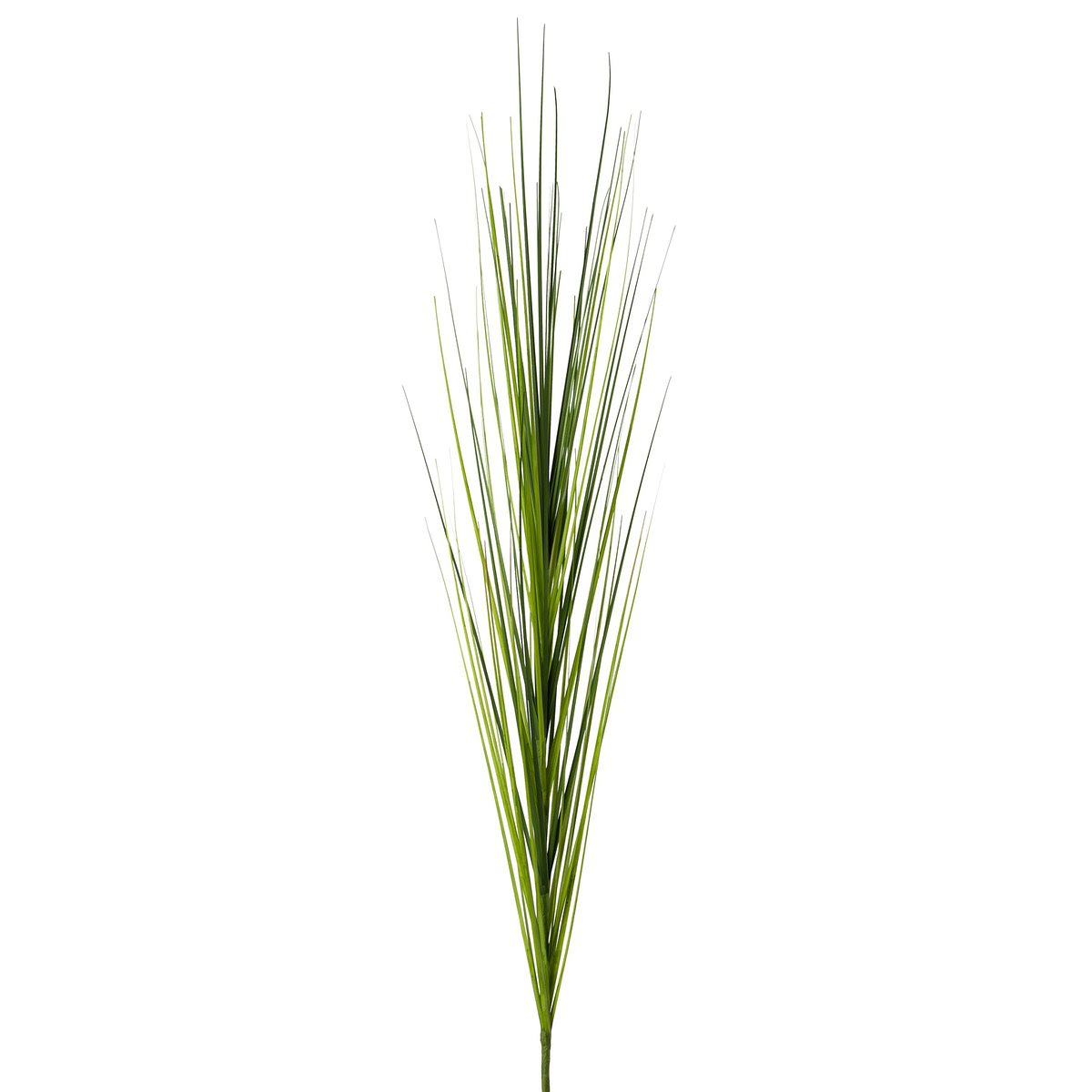 Gasper Isolepsis 6/poly,115 Cm, Grün-mix - Kunstblumen