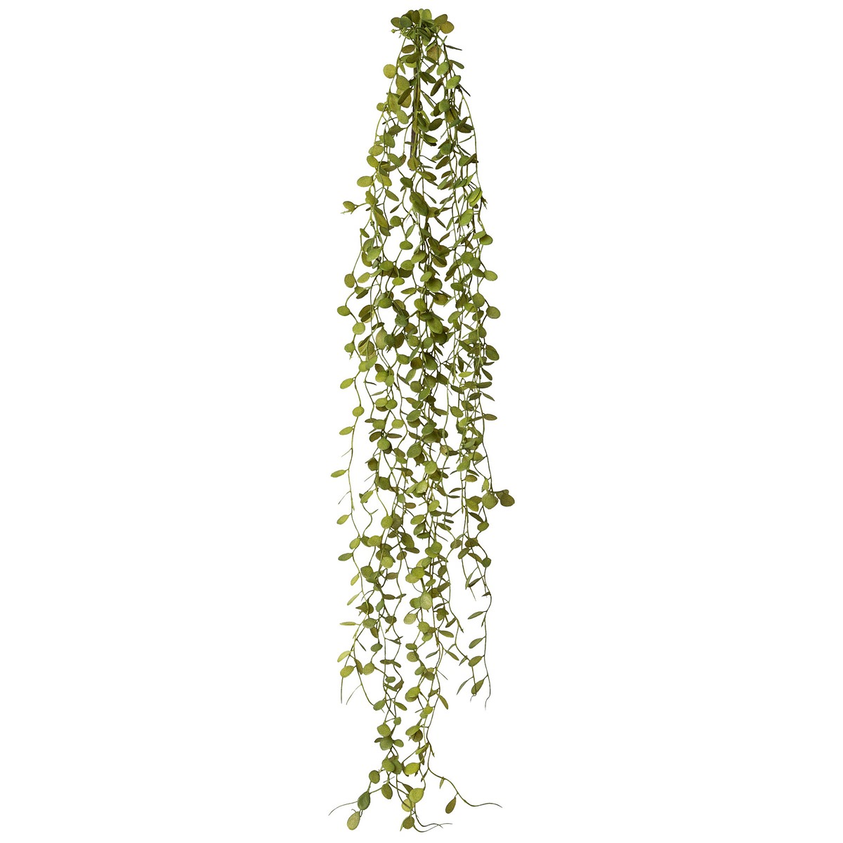 Gasper Mühlenbeckia-hänger 71 Cm - Grün