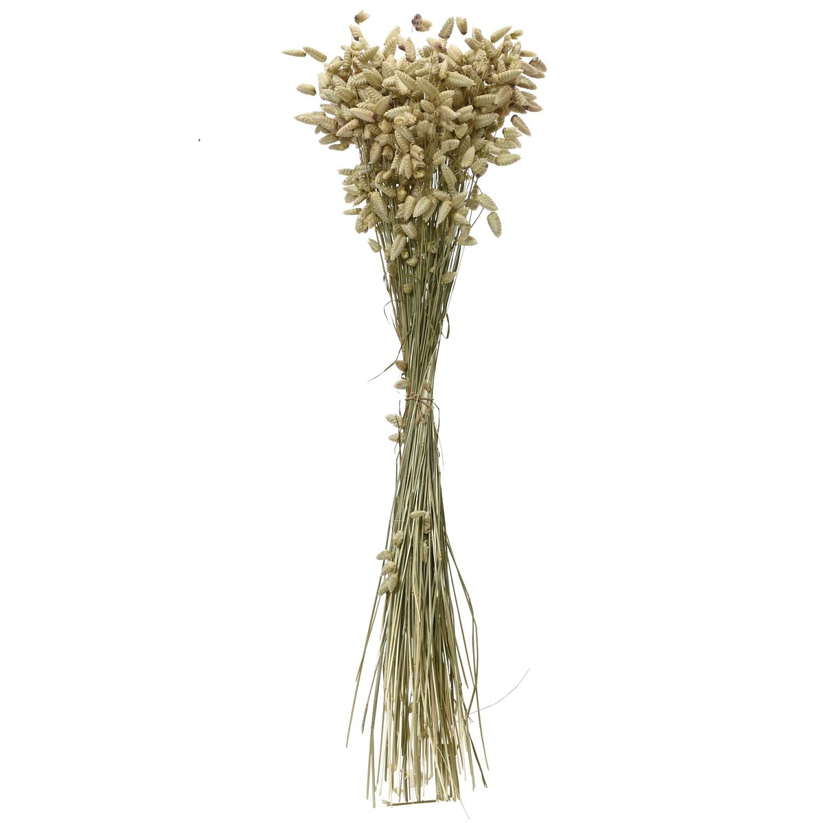 Kaemingk Trockenblumenbund Zittergras-briza Ø 14 Cm 55 Cm - Bund