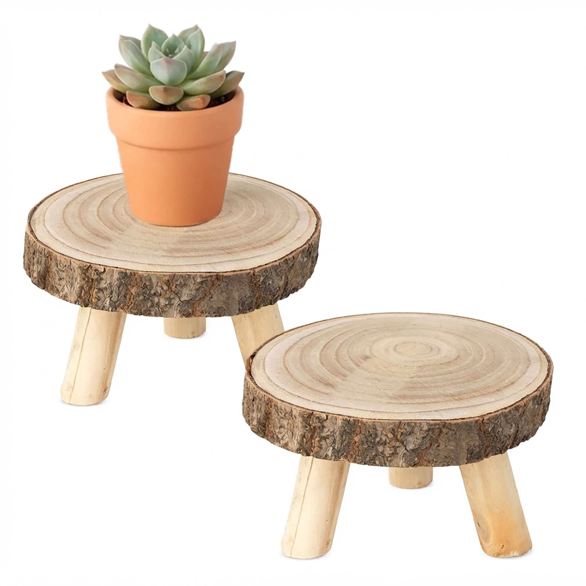 Blumenhocker Aus Baumscheibe Rund Mit Rinde Ø 16 Cm - 2er Set - Holz Pflanzenständer Natur Auf 3 Füßen