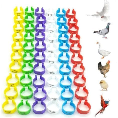 60 Kennzeichnungsringe Für Hühner, Kennzeichnungsringe Für Vögel, Kunststoffringe Für Papageienbeine, 16 Mm Durchmesser, Mit Nummern, Zur Kennzeichnung Von Geflügel.