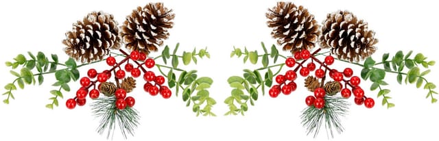 I.GE.A. Streudeko Bastelnaturmaterial Streudeko, Deko-Zapfen Eukalyptus Beeren Tanne Basteln Adventskränze 14 Teile
