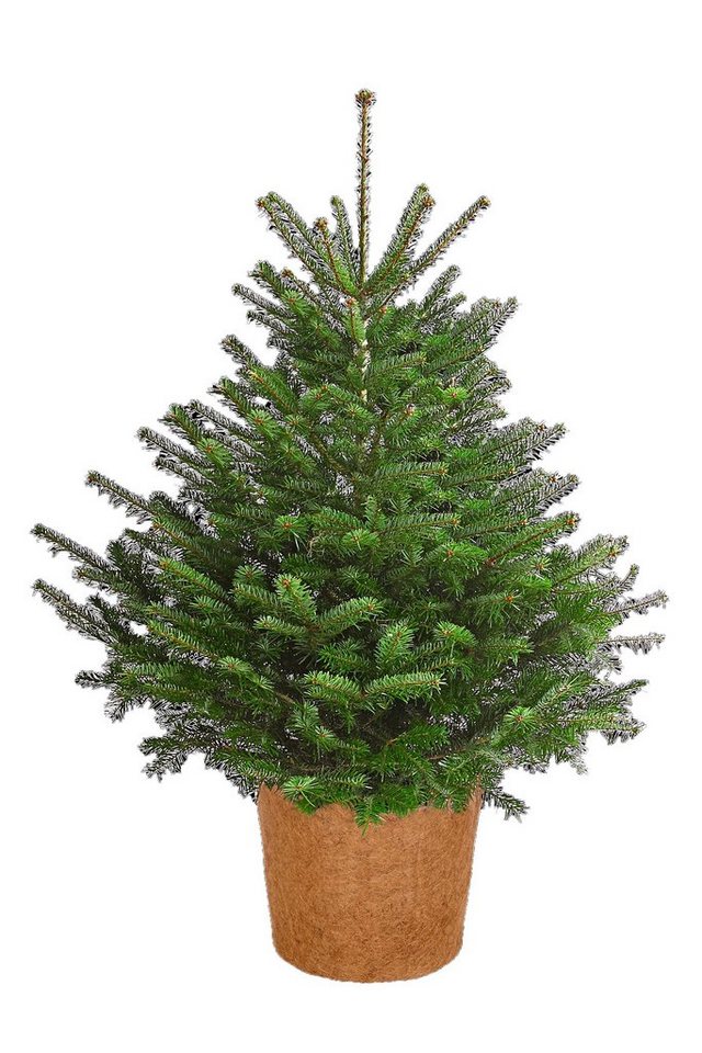 Dehner Winterschutzvlies Winterschutz-Topf, Kokos, Ø 45 cm Höhe 34 cm Bild 3