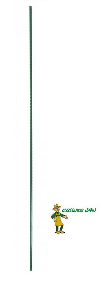 Grüner Jan Rankhilfe Metall Blumenstab 100cm Blumenstütze Tomatenstab Rankhilfe Pflanzstab