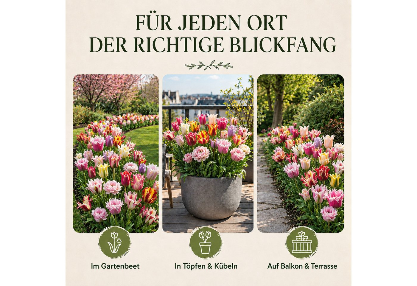 HappySeed Blumenzwiebeln 50 Stk, Tulpen & Frühlingsblüher, verschiedene Sorten, (Gartenmischung, 50-St), Gartenmischung