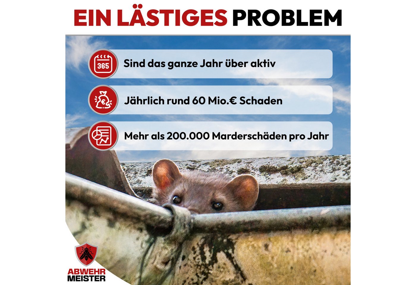 ABWEHR MEISTER Marderspray [400 ml] zur Abwehr von Mardern für Haus, Garage & Auto, 2-St., Präzise Anwendung, dank integrierter Sprühlanze Bild 2