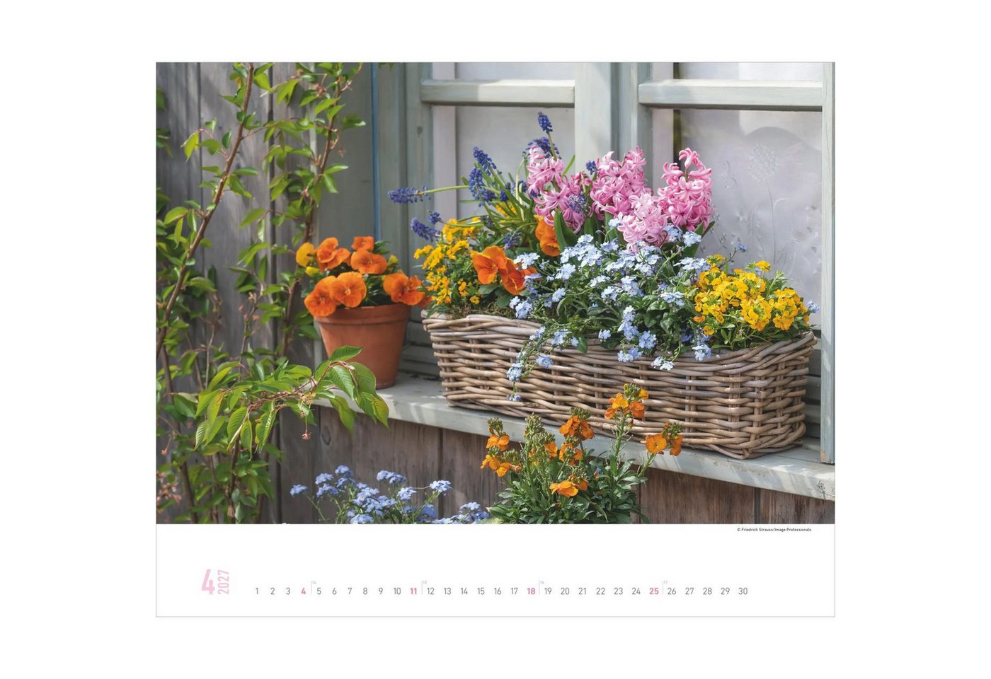 Alpha Edition Wandkalender Gartenparadiese 2027 Bild 5
