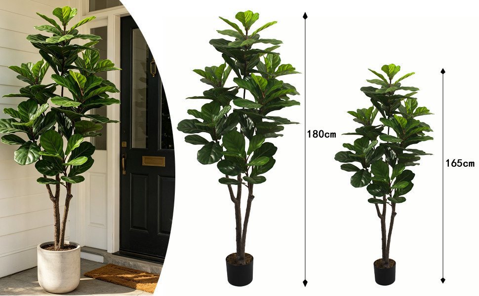Künstliche Zimmerpflanze Ficus Lyrata Höhe 160/180 cm Geigenfeige im Topf moderne Zimmerpflanze Ficus Lyrata, CASSILANDO, Höhe 160 cm, im Topf Bild 3