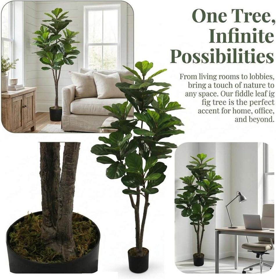 Künstliche Zimmerpflanze Ficus Lyrata Höhe 160/180 cm Geigenfeige im Topf moderne Zimmerpflanze Ficus Lyrata, CASSILANDO, Höhe 160 cm, im Topf Bild 5