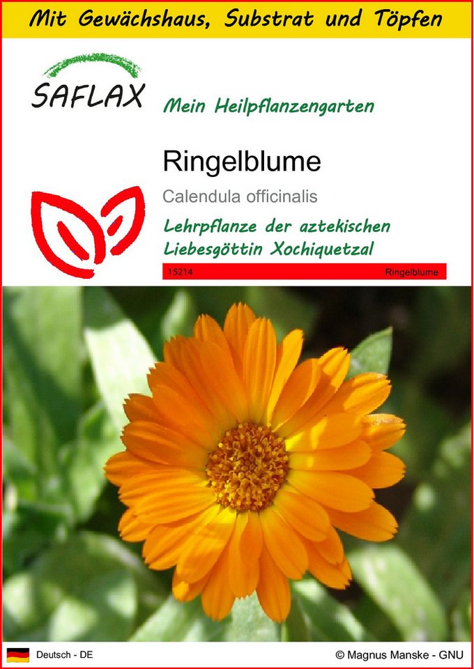 SAFLAX Blumensamen SAFLAX - Anzuchtset - Ringelblume Bild 2