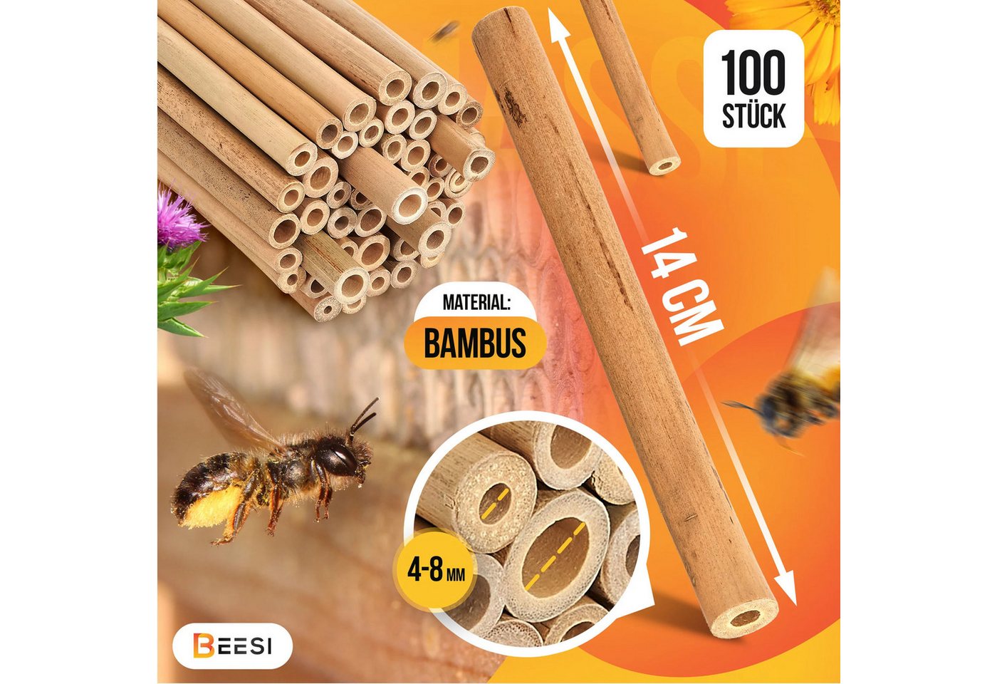 BEESI Insektenhotel 100x Bambusröhrchen für Insektenhotel I 14 cm Länge, (Set, 100-St), 8T x 17B x 7H cm Bild 2