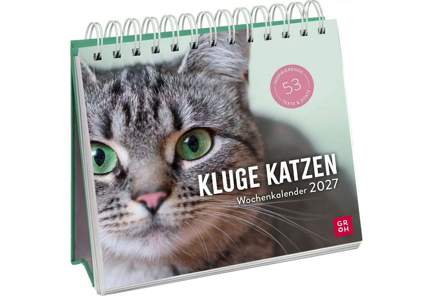 groh Verlag Tischkalender Wochenkalender 2027: Kluge Katzen