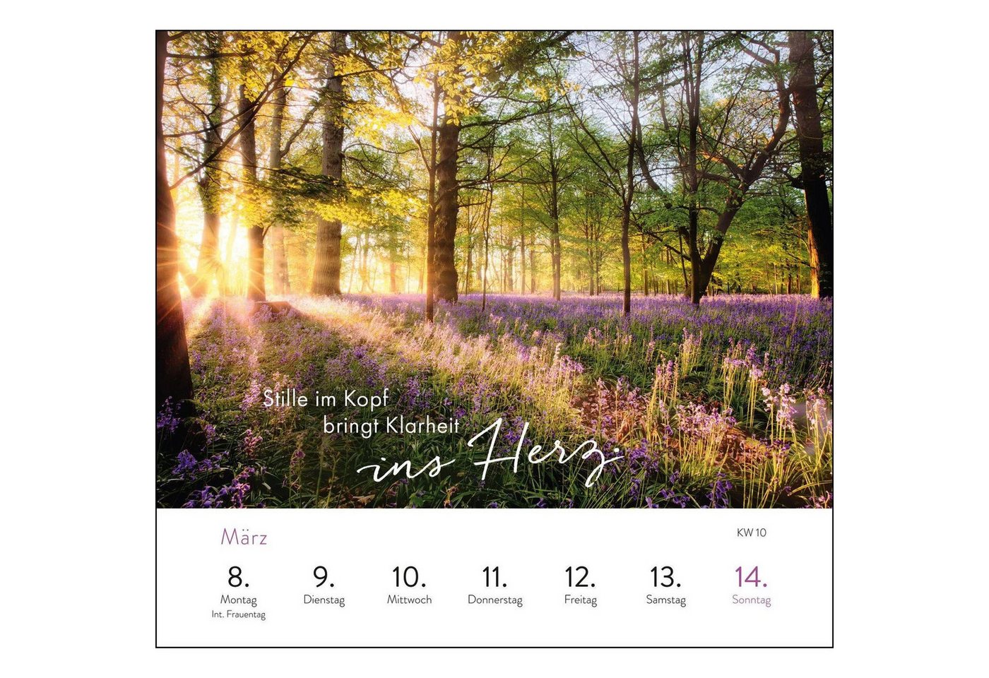 groh Verlag Tischkalender Wochenkalender 2027: Kleine Atempausen für dich Bild 2