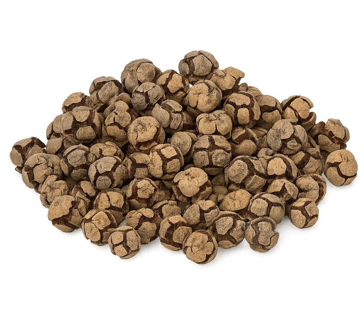 NaDeco Bastelnaturmaterial Zypressenzapfen, Natur, 2-3 cm, 0,5 kg Cupressus Dekozapfen Streudeko Bild 3