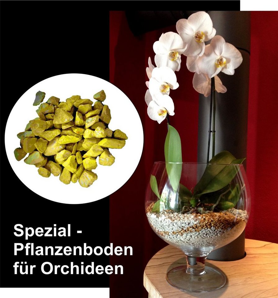 colomi Pflanzgranulat Spezial Pflanzboden für Orchideen - patentiert gelb, 1 Liter