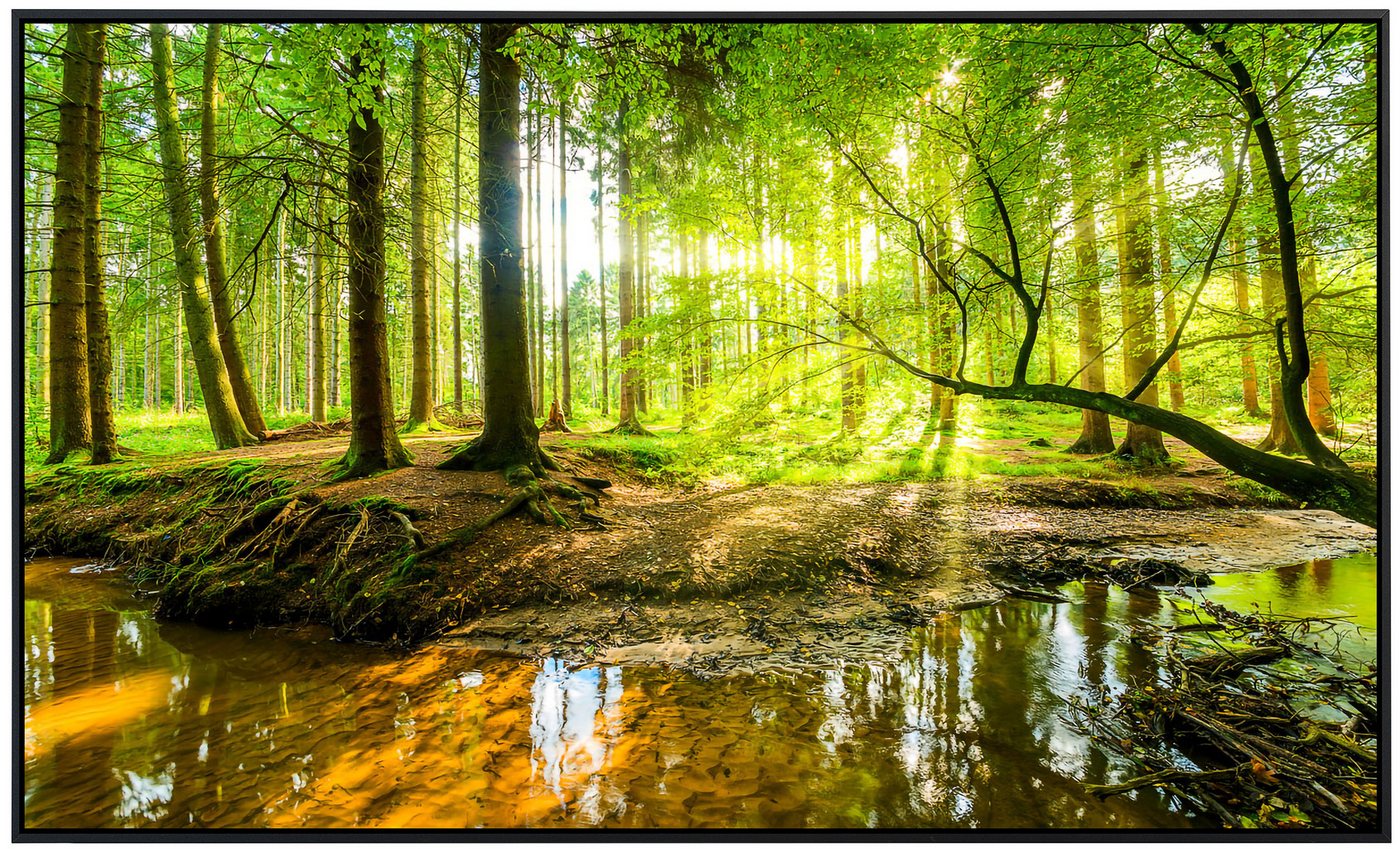 Papermoon Infrarotheizung INFRAROT-BILD-HEIZUNG, Wald, TÜV-Rheinland/GS zertifiziert, angenehme Strahlungswärme Bild 2