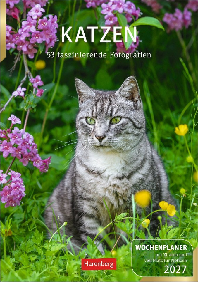 Athesia Kalenderverlag Wandkalender Katzen Wochenplaner 2027 - 53 faszinierende Fotografien