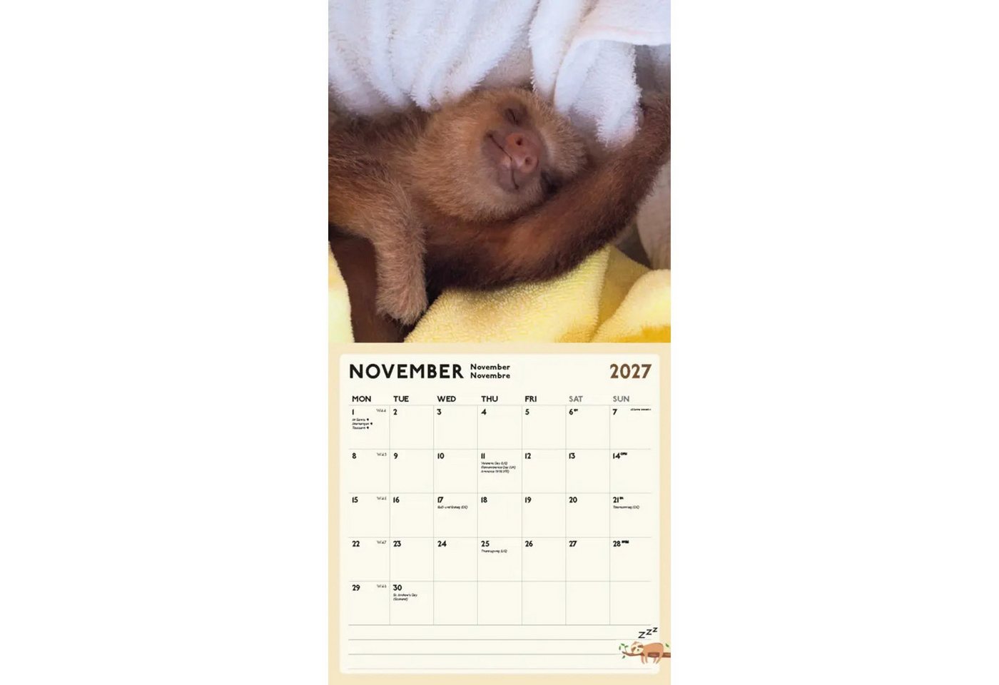 Wandkalender Faultier Kalender 2027