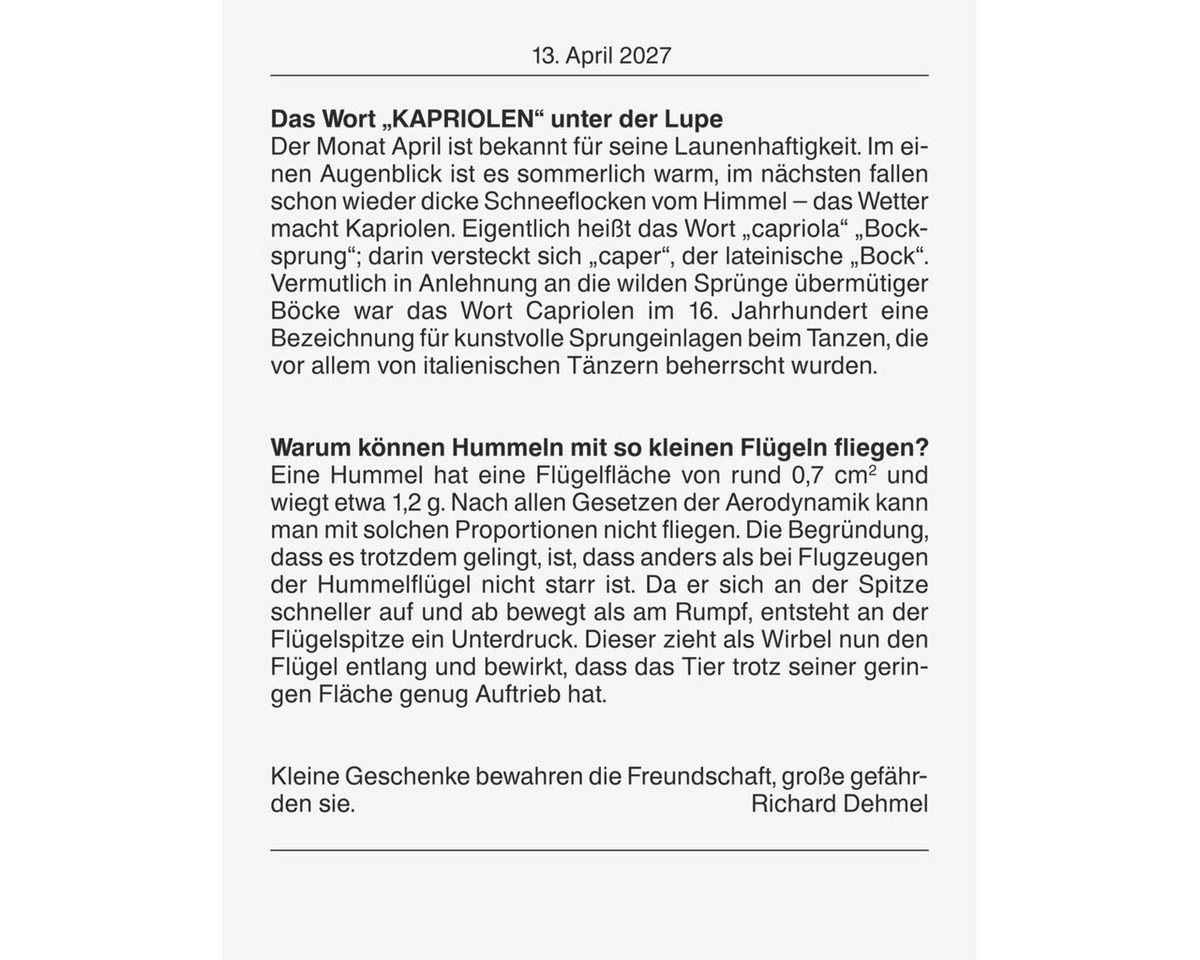 BRUNNEN Abreißkalender Abreißkalender 98x142mm 2027 Bild 2