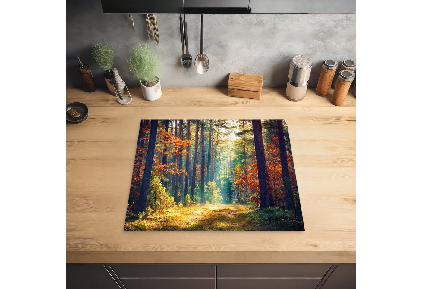 MuchoWow Herd-Abdeckplatte Wald - Sonne - Natur - Herbst, Vinyl, (1 tlg), Abdeckplatte für Ceranfeld, Herd Inductionsmatte, 57.6x51.6 cm