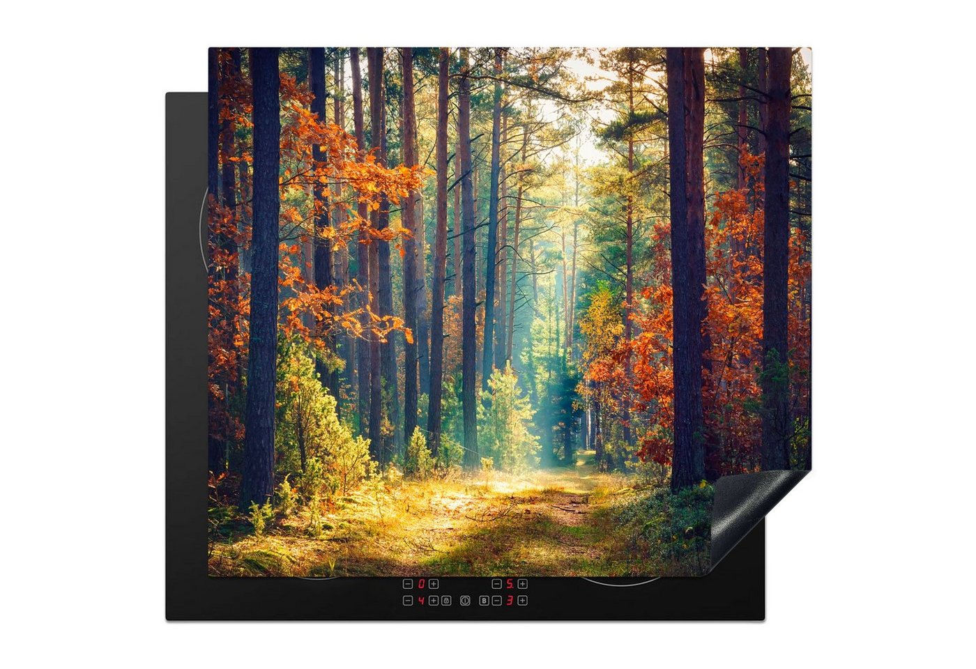 MuchoWow Herd-Abdeckplatte Wald - Sonne - Natur - Herbst, Vinyl, (1 tlg), Abdeckplatte für Ceranfeld, Herd Inductionsmatte, 57.6x51.6 cm Bild 5