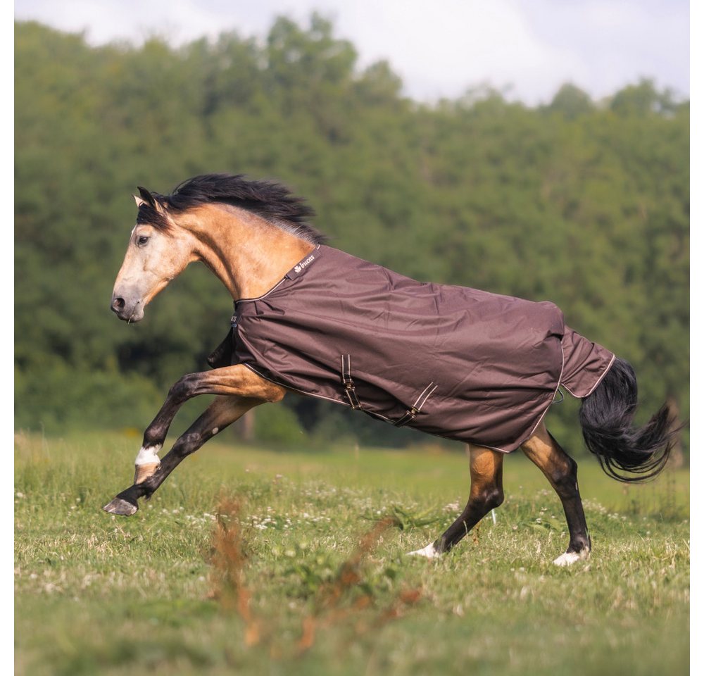 Bucas Pferde-Regendecke Bucas Irish Turnout Light 50g Classic 1200D Bild 2