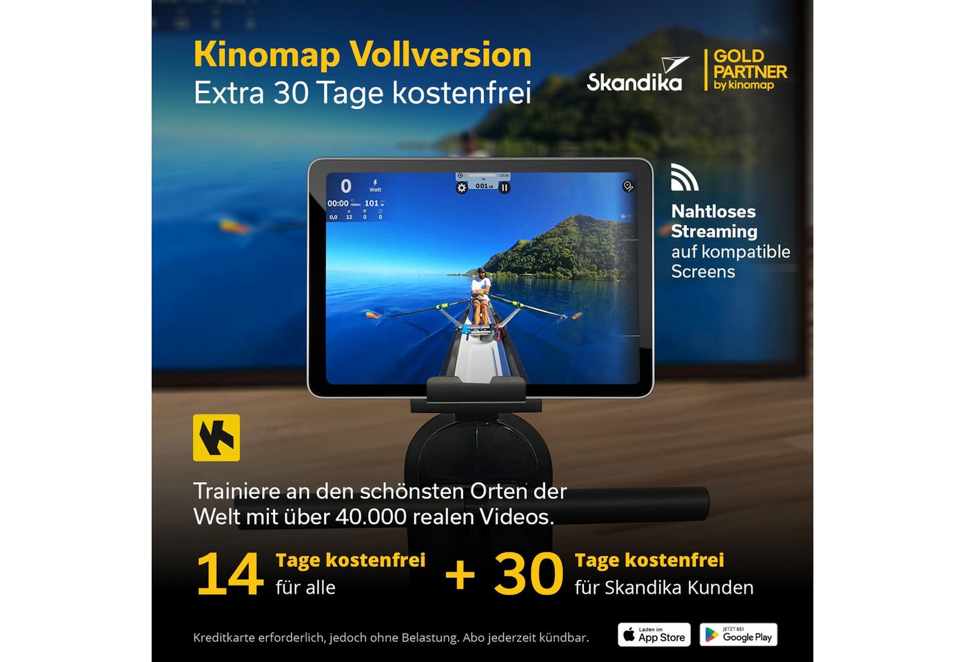 Skandika Rudergerät für Zuhause Oxford Pro, Magnetwiderstand, 8 Widerstandsstufen (Tablet-/Smartphone-Halterung, Schwungmassensystem 5 kg, Getränkehalter), Bluetooth & Kinomap App, platzsparend mit Aufstellfunktion, bis 120 kg Bild 3