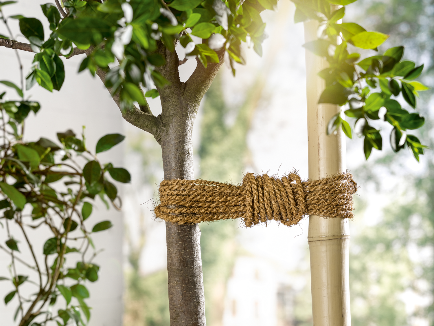 PARKSIDE® Kokosgarn-Set Bild 3