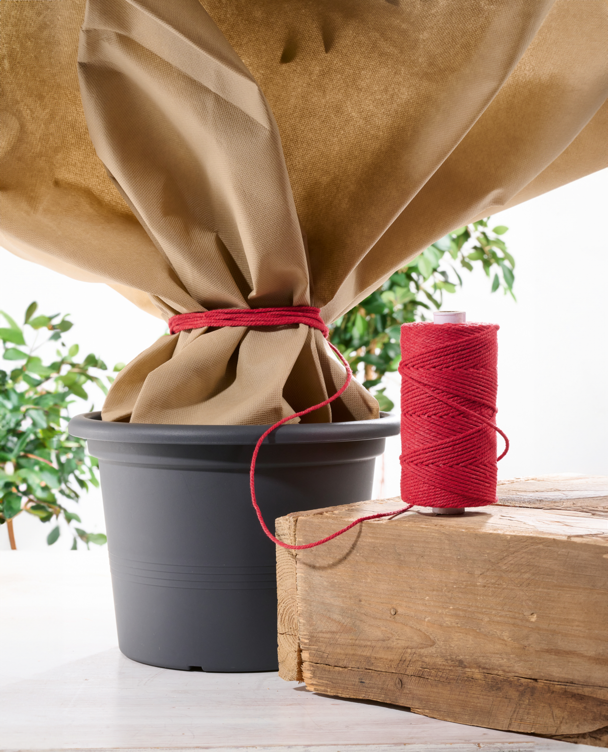 PARKSIDE® Baumwollband (Rot)
