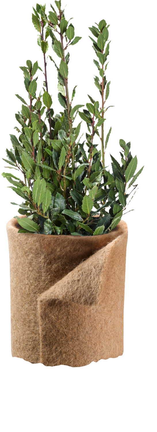 PARKSIDE® Kokosmatte / Jutegewebe / Jutefilz (Jutefilzmatte Natur) Bild 2