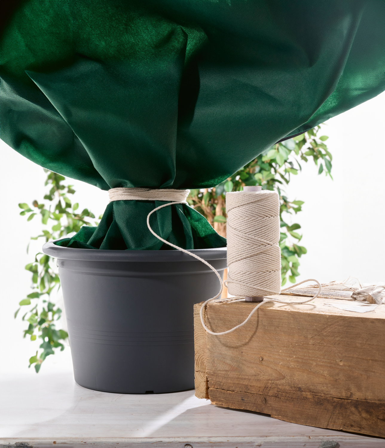PARKSIDE® Baumwollband (Natur)