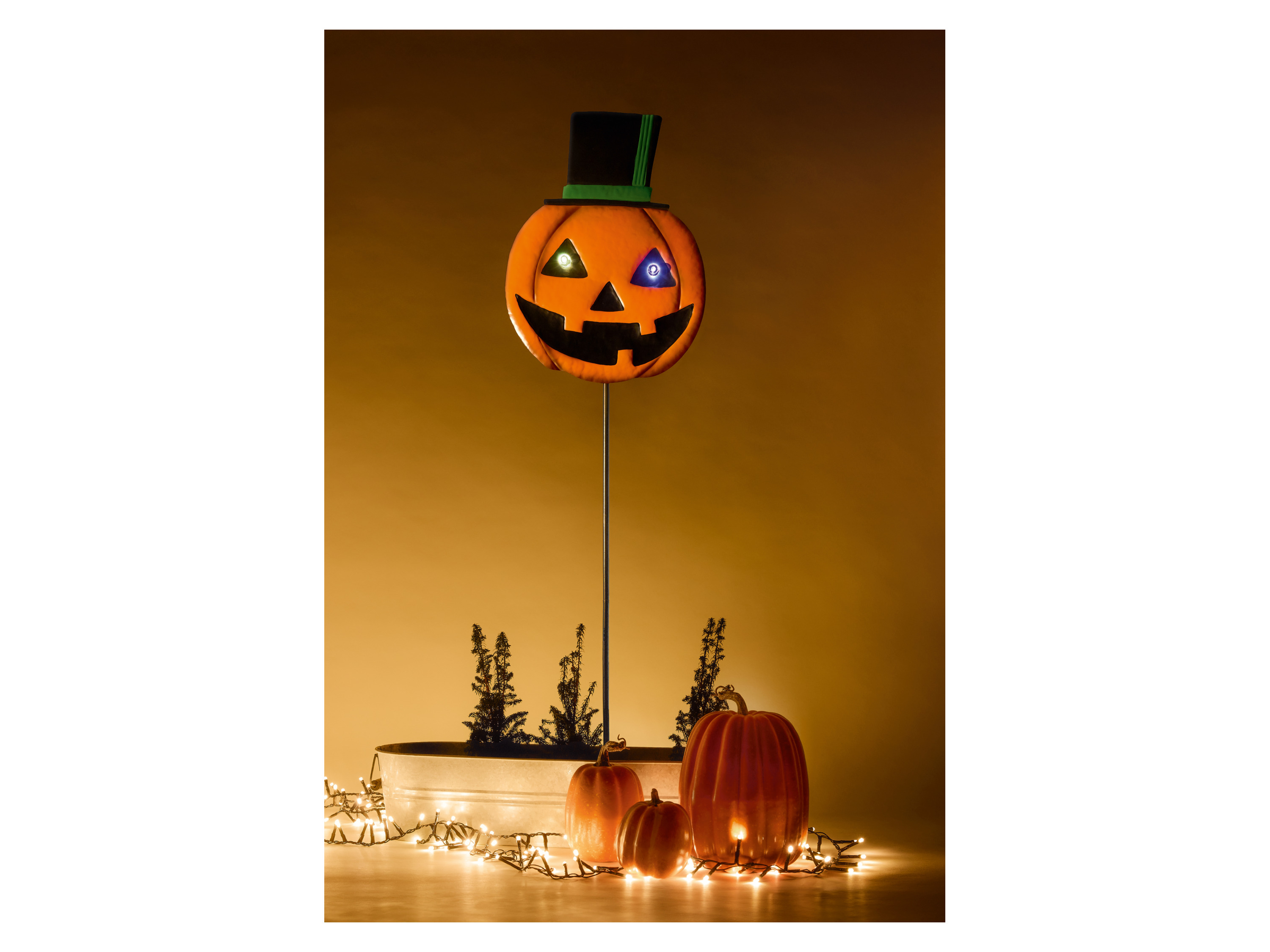 Halloween-Gartendeko (Kürbis) Bild 2