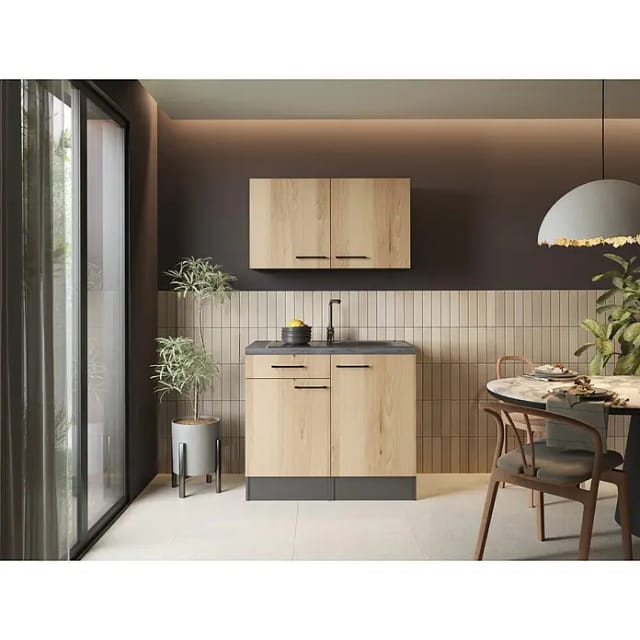 Spülenschrank Küchenschrank Oberschrank 100cm Artisan Eiche Grau Oliver Respekta