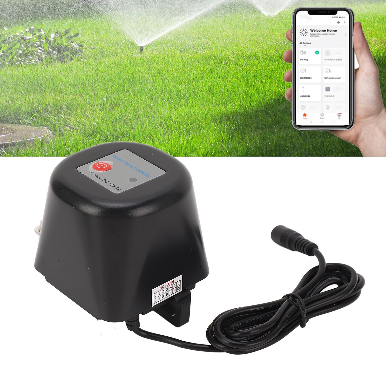 Tuya Smart-wasserhahn Für Smart Home, Gashahn, Zigbee-sprachsteuerung, Intelligenter Kugelschalter, Nicht Verstellbare Halterung, 100–240 V Wechselstrom, Europäischer Standard