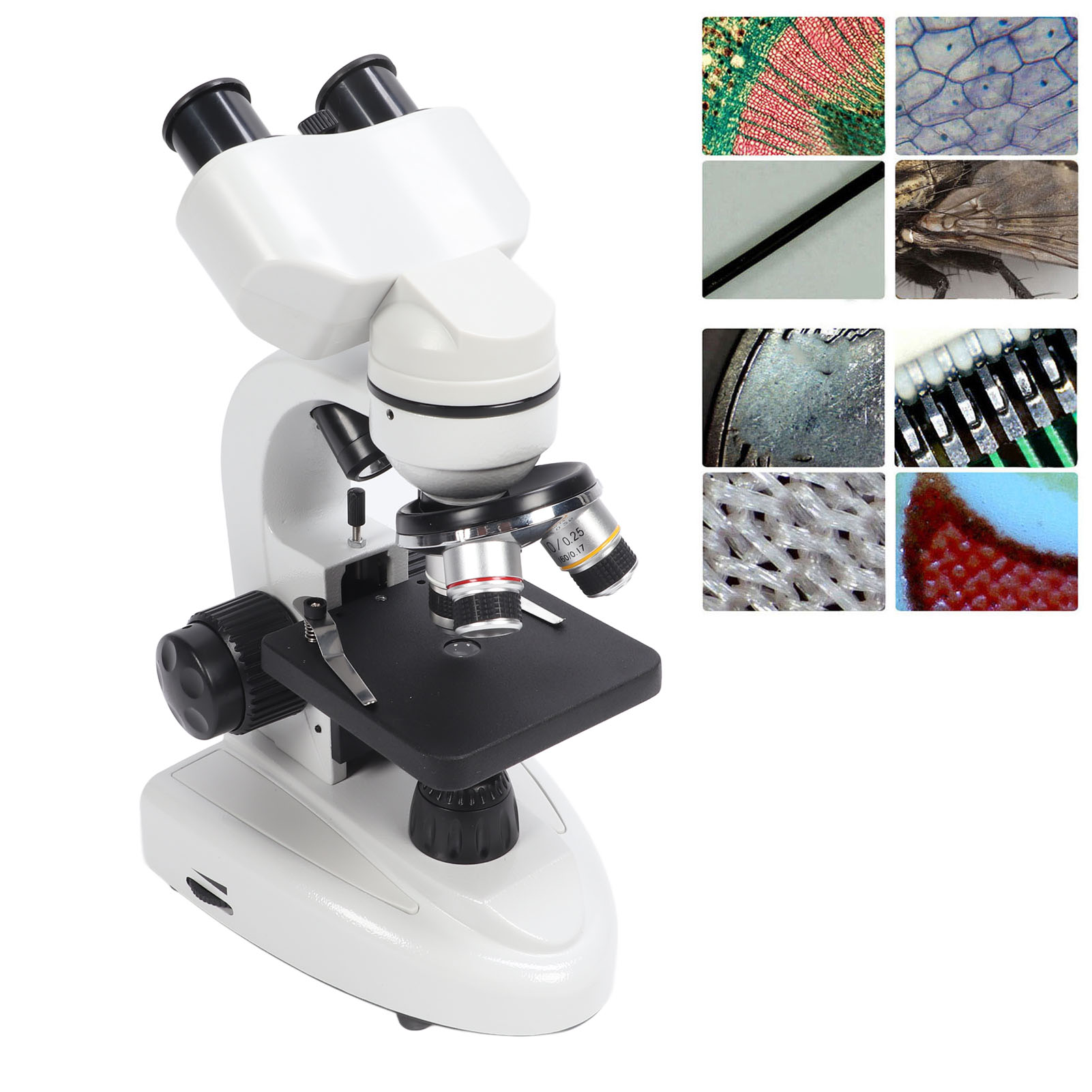 Binokulares Biologisches Mikroskop Mit Augenschutz Für Schüler, 40x-5000x, Professioneller Lehr-experimentierkopf, 360° Drehbar, Europäischer Standard 100-240v.