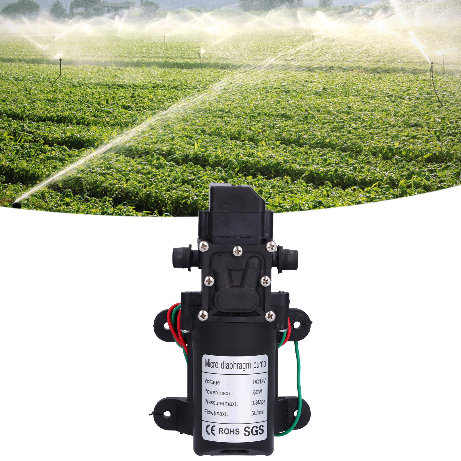 12v 60w 3308 Intelligente Membranpumpe, Selbstansaugende Wasserpumpe Für Den Hausgebrauch, Rückförderpumpe Für Sprühbewässerung, 6,35 Mm (1/4 Zoll) Kühlsprühbewässerungsgerät.