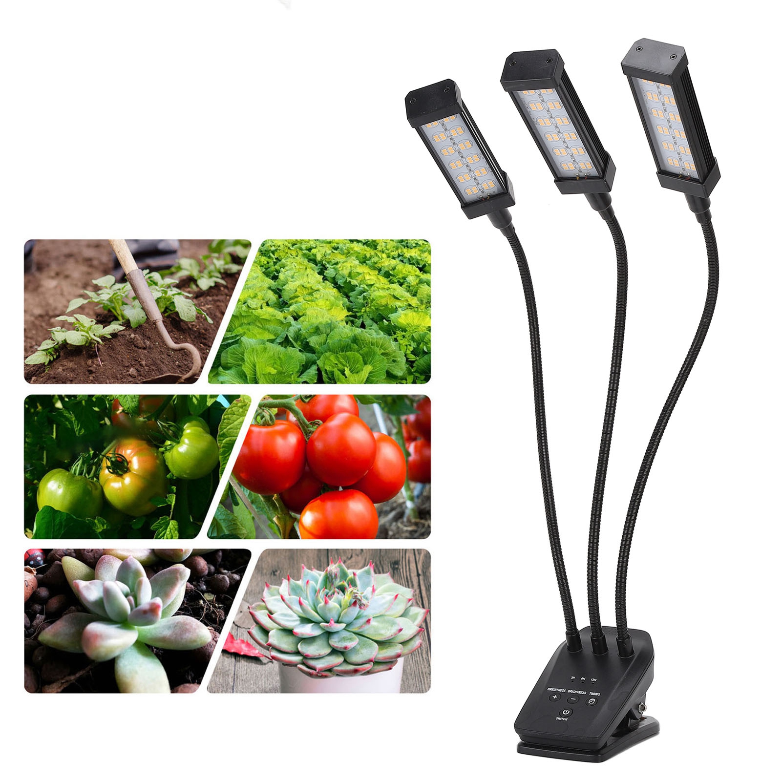 Led-lampe Für Sukkulenten, Pflanzenclips, Pflanzenwachstumslampe, Pflanzenlampe Mit Zeitschaltuhr, Schwarz (uk-standard).