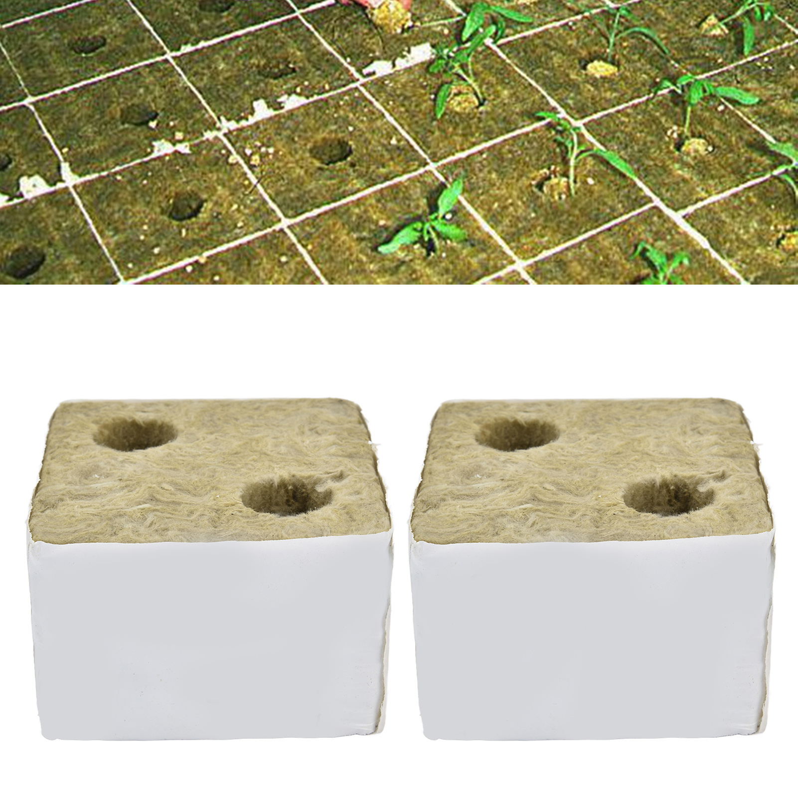 Packung Mit 12 Doppelwandigen Steinwollblöcken Für Den Hydroponischen Tomatenanbau, 100 X 100 X 65 Mm