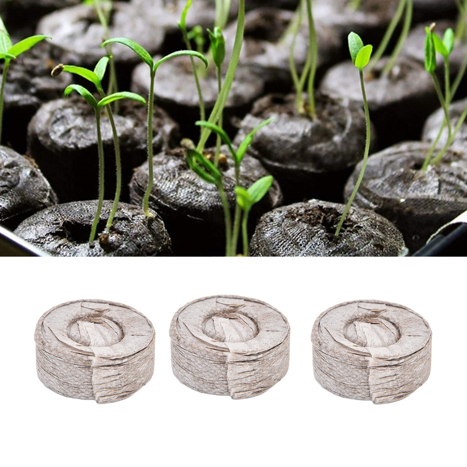 50 Blöcke Aus Komprimiertem Torfvlies Zu Verkaufen Für Die Anzucht Von Setzlingen, Nährblöcke, Substrat, Nährstoffreiche Blumenerde Ø 35 X 10 Mm