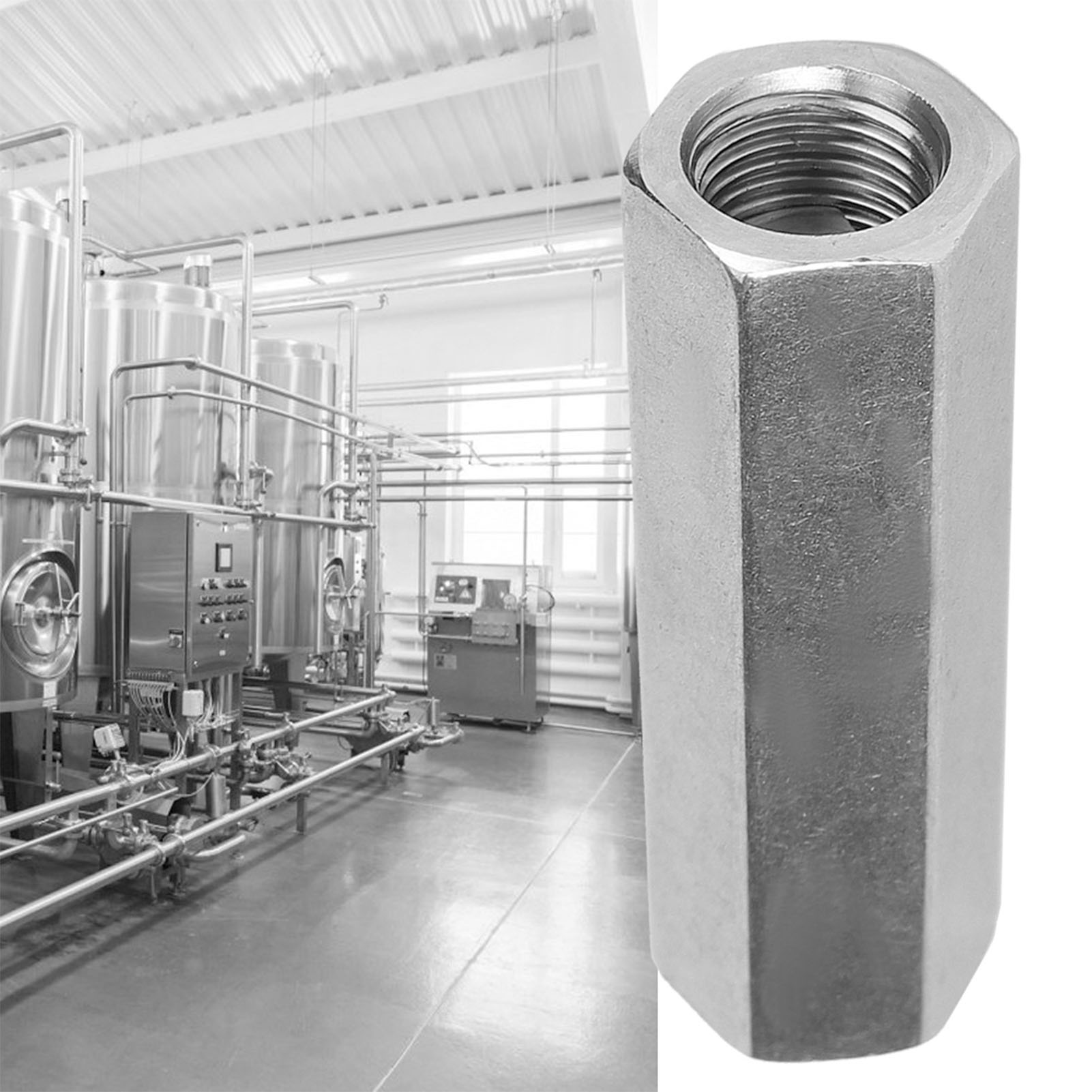 Innengewinde-sechskant-rückschlagventil Gemäß Britischem Standard Bspp, Hergestellt Aus Edelstahl 304, Für Hohe Temperaturen Und Hohe Drücke.