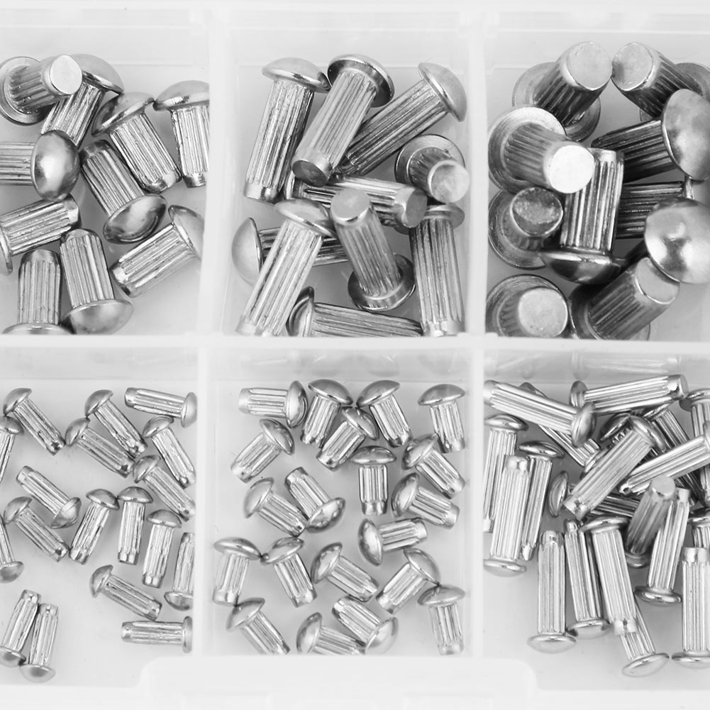 Packung Mit 160 Gerändelten Edelstahlnieten