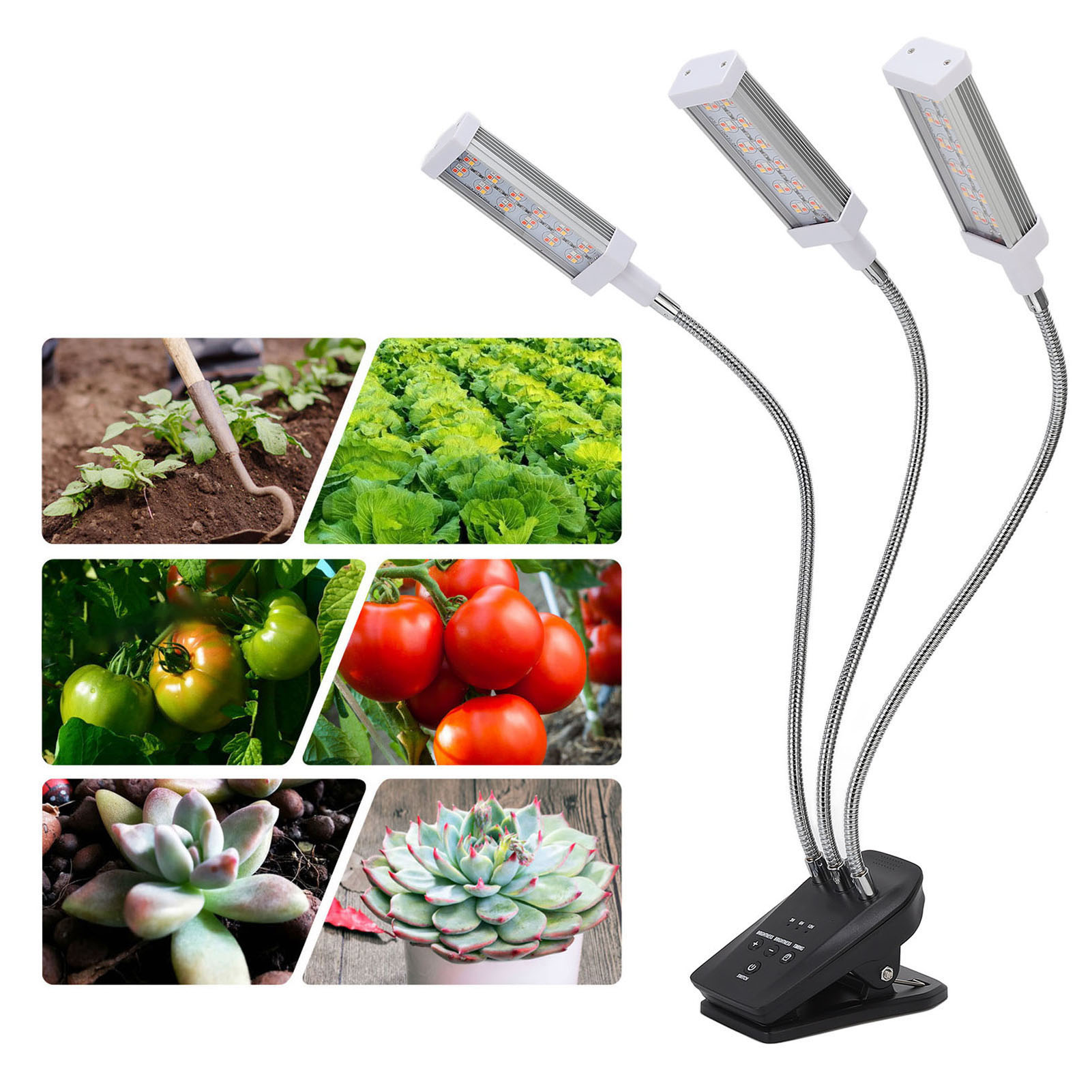 Led-lampe Für Sukkulenten, Pflanzenclips, Pflanzenwachstumslampe, Pflanzenlampe Mit Zeitschaltuhr, Silber (britischer Standard).