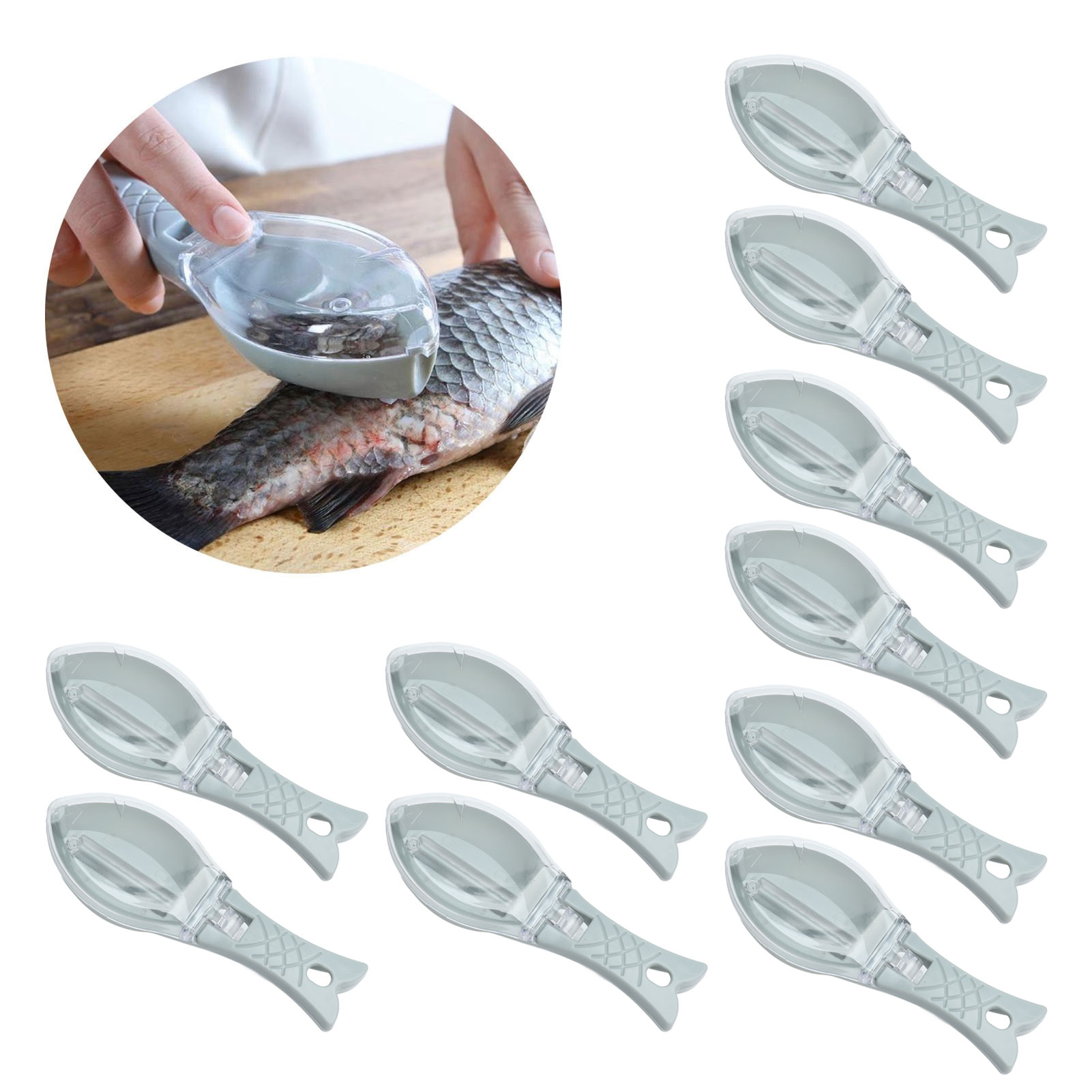 Fischschupper, Schuppenbürste, Fischhautschaber, Raspel, Schnellverschlusssystem, Fischmesser, Hautreiniger, Hautschaber, Fischschupper