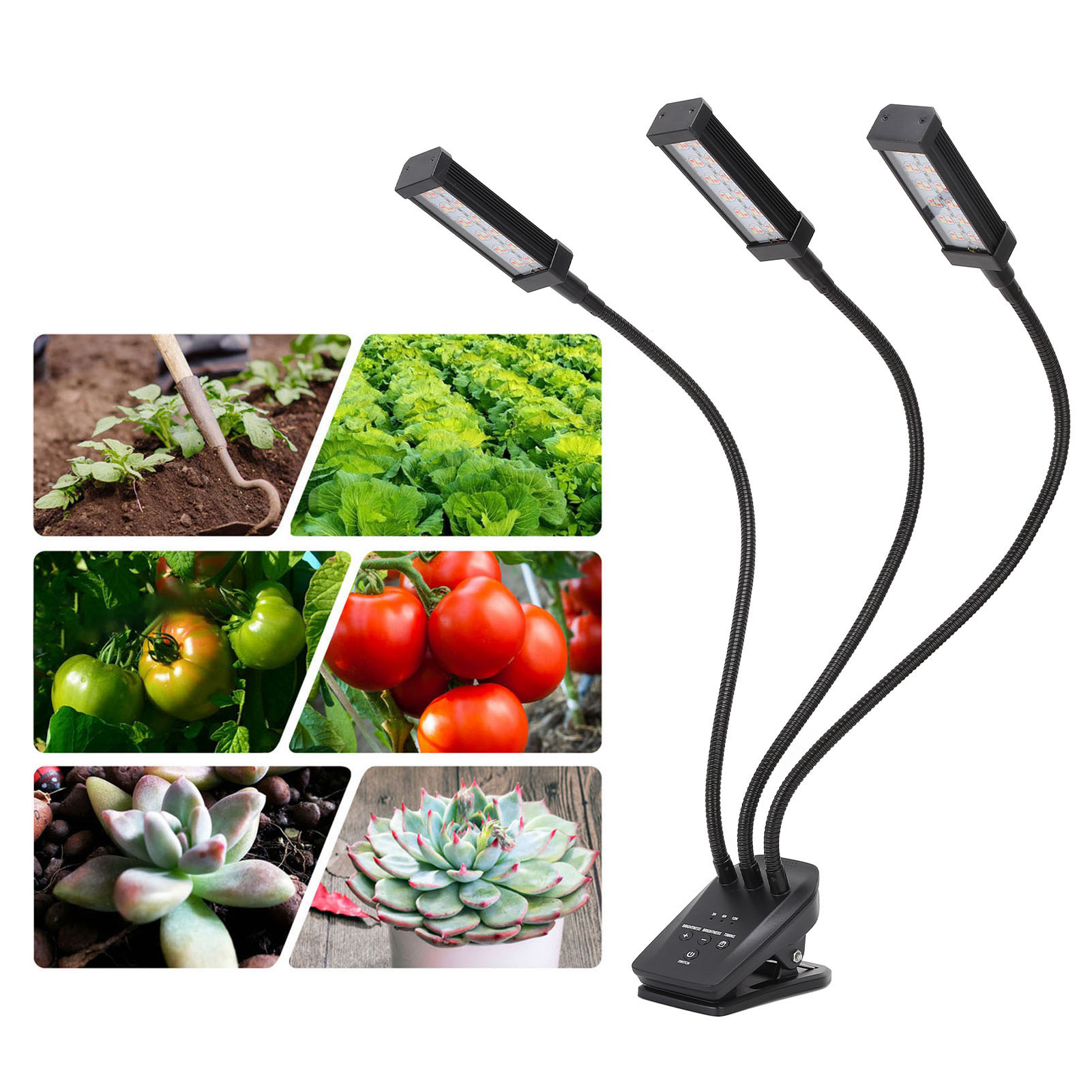 Led-lampe Für Sukkulenten, Pflanzenclips, Zusatzlampe Für Pflanzenwachstum, Pflanzenlampe Mit Timer Und Speicherfunktion, Schwarz, Europäischer Standard.