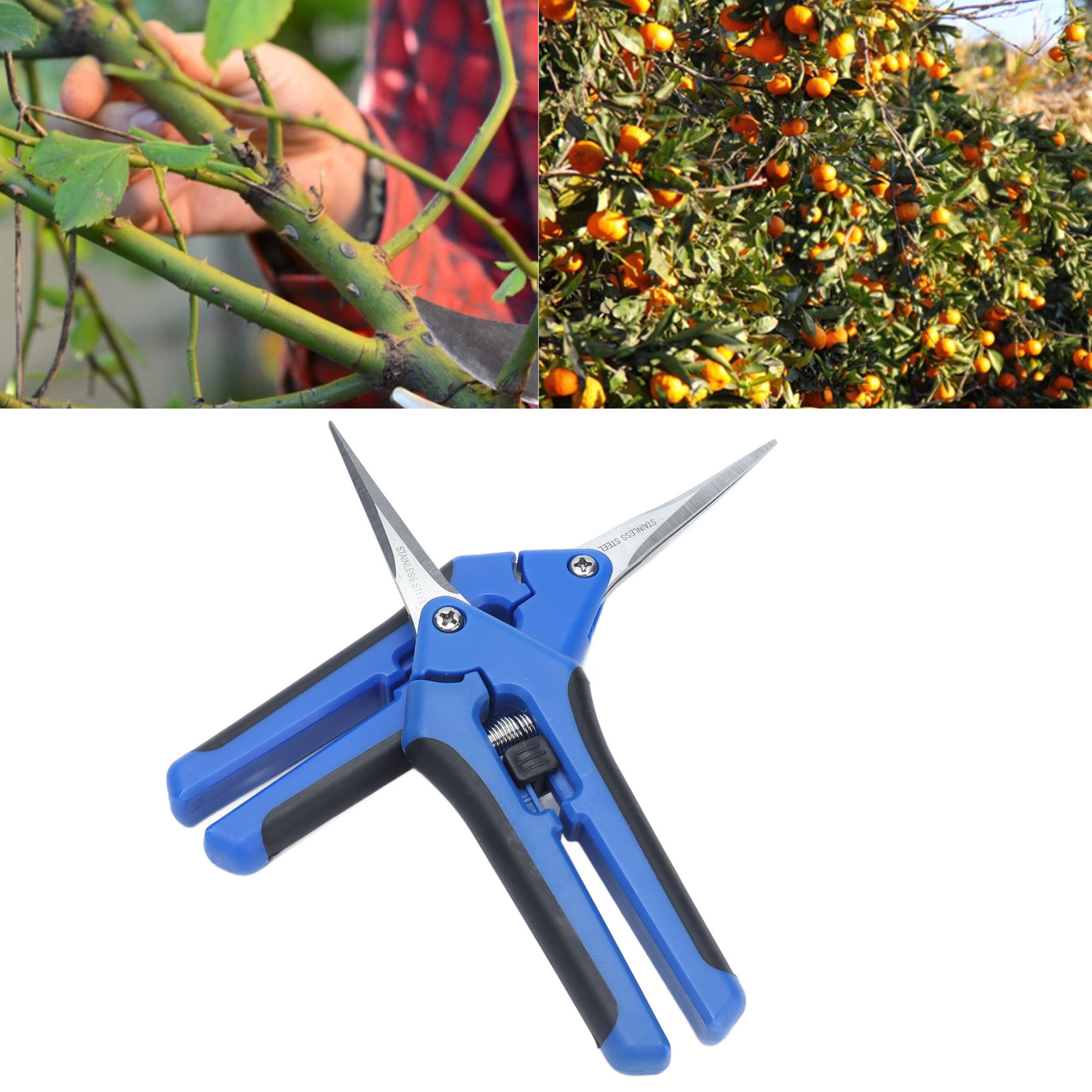 Gartenscheren, Gartenscheren Für Die Obst- Und Weinlese, Gartenscheren Zum Beschneiden Von Obstbäumen, Gerade Und Gebogene Auslichtungsscheren Aus Edelstahl